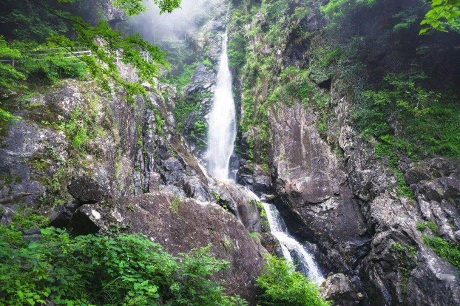 虫虫助手下载