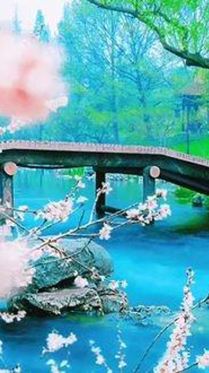 蓝狐视频